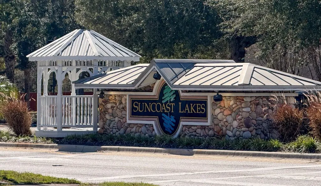15819 Cedar Elm Terrace Land O Lakes FL 34638