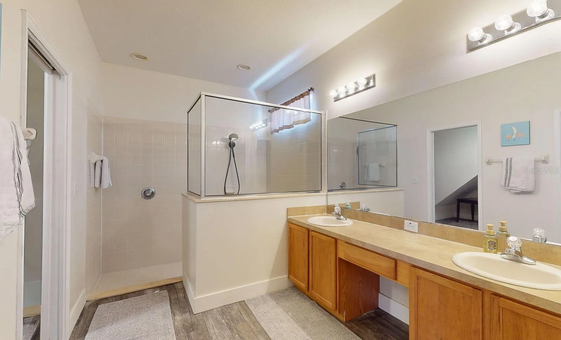 15819 Cedar Elm Terrace Land O Lakes FL 34638