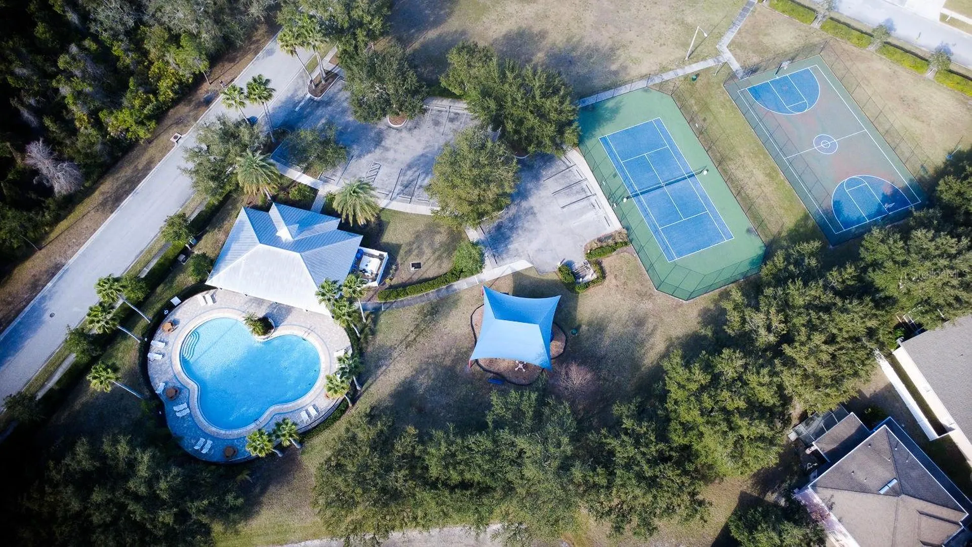 15819 Cedar Elm Terrace Land O Lakes FL 34638