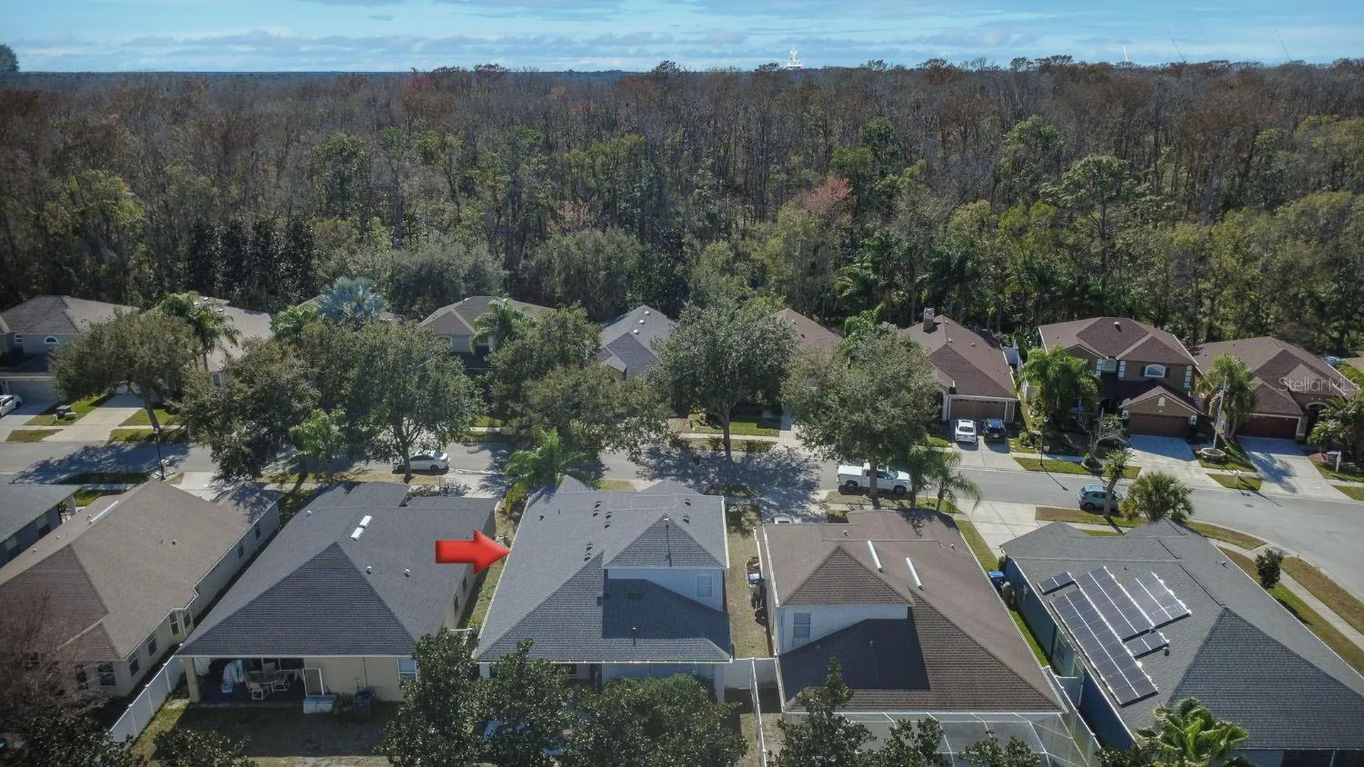 15819 Cedar Elm Terrace Land O Lakes FL 34638