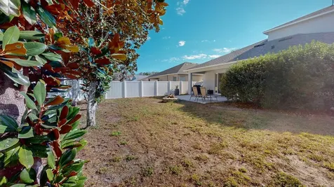 15819 Cedar Elm Terrace Land O Lakes FL 34638