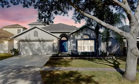 15819 Cedar Elm Terrace Land O Lakes FL 34638