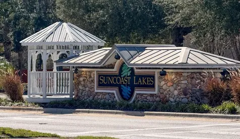 15819 Cedar Elm Terrace Land O Lakes FL 34638