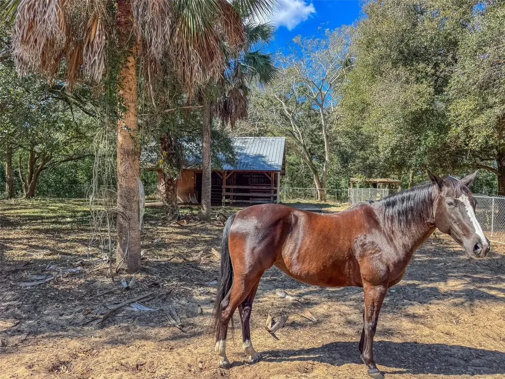 3655 N Scenic Highway Lake Wales FL 33898