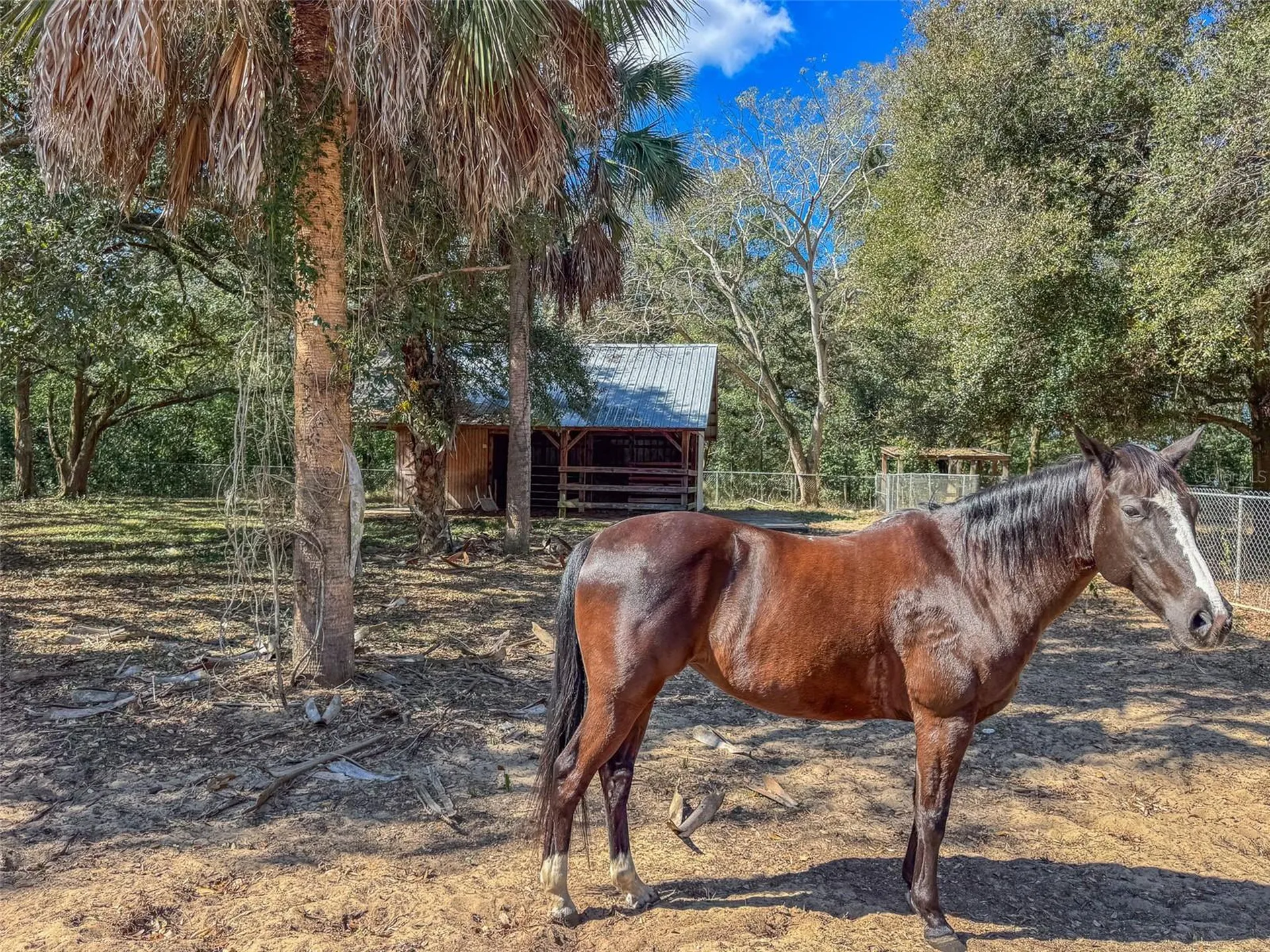 3655 N Scenic Highway Lake Wales FL 33898