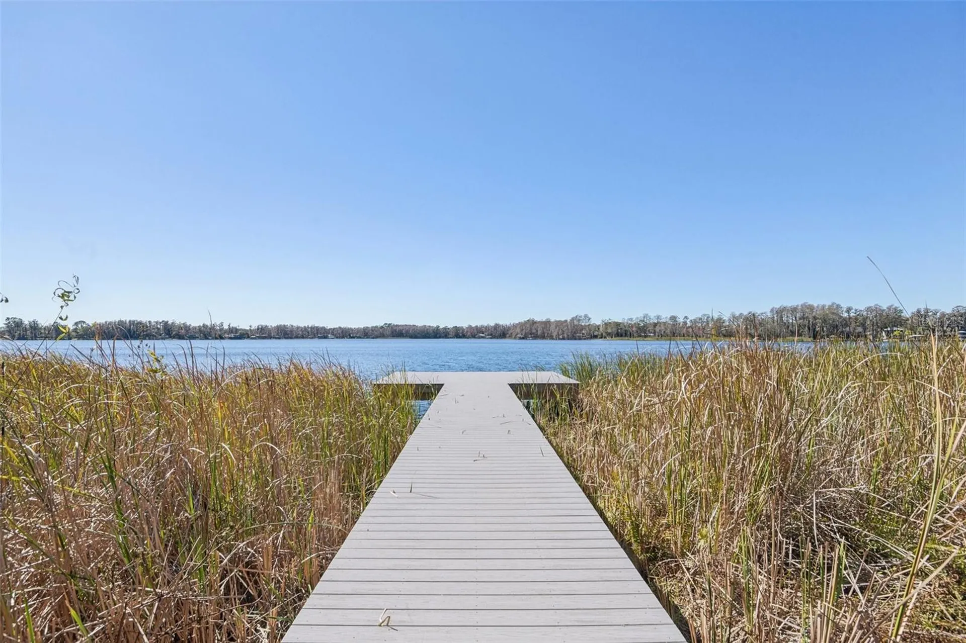 6060 Acara Lane Land O Lakes FL 34638