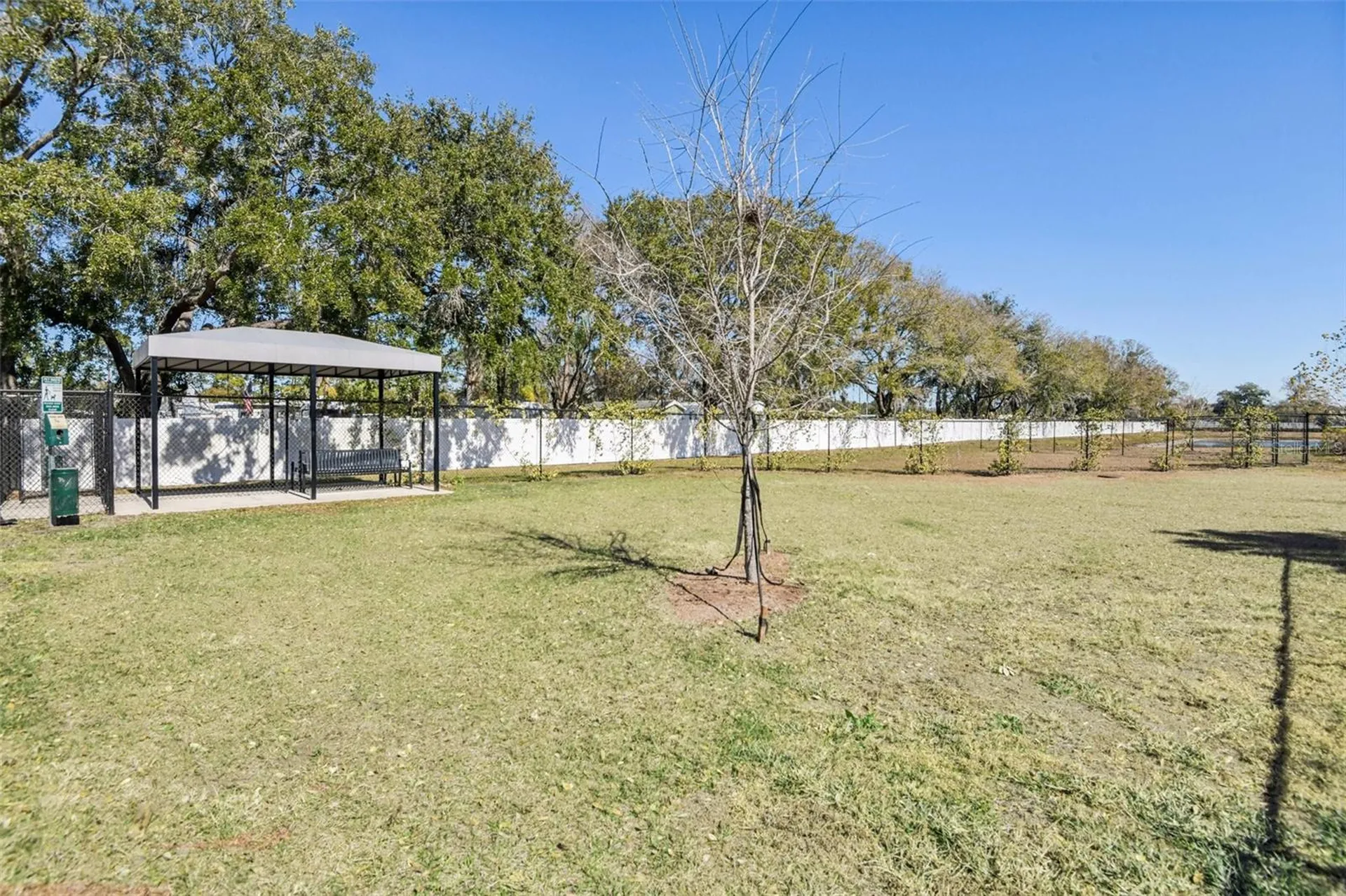 6060 Acara Lane Land O Lakes FL 34638