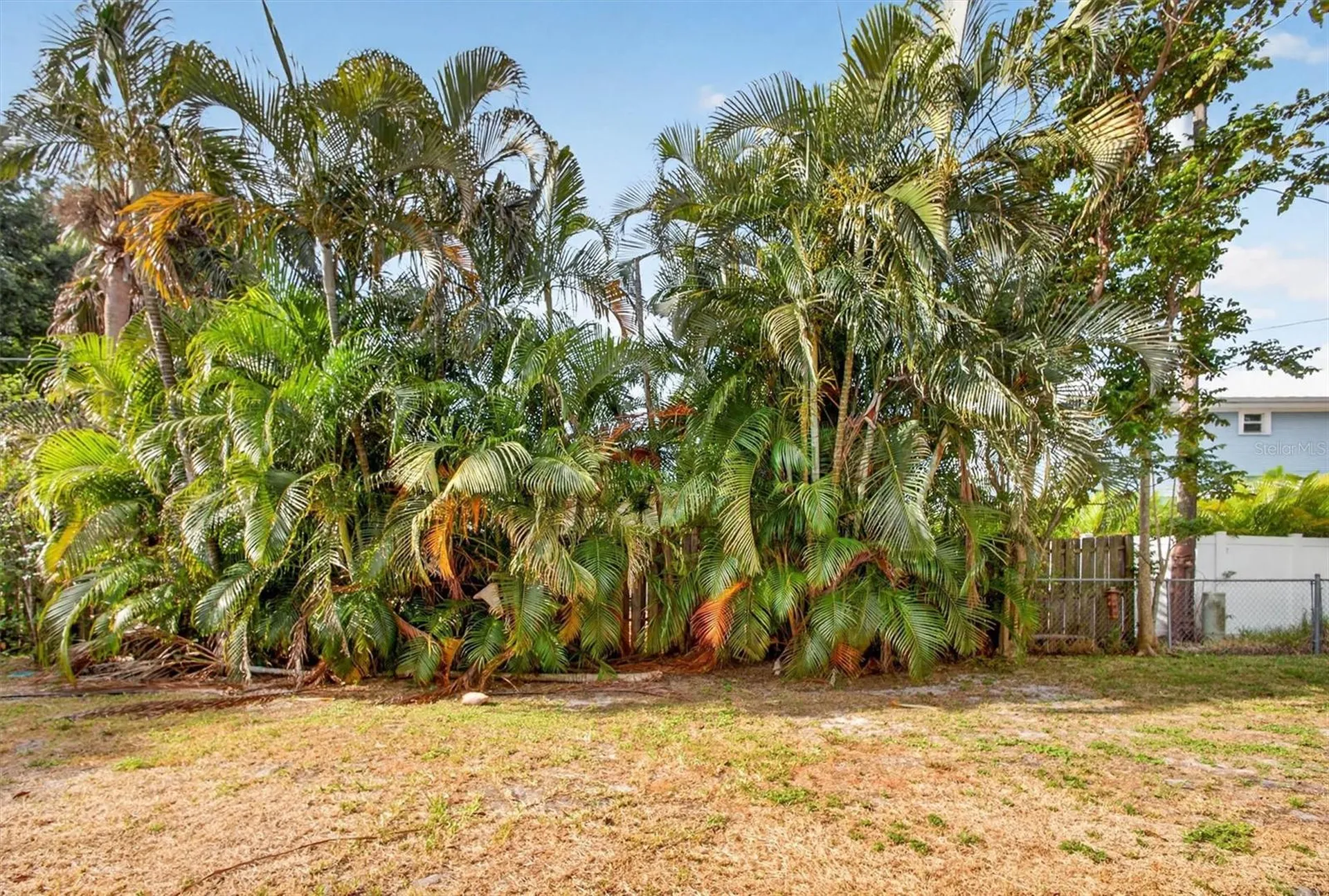 1420 Maravilla Avenue Fort Myers FL 33901
