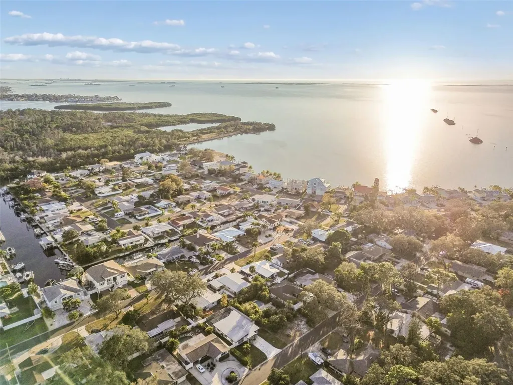 224 Timberlane Drive Palm Harbor FL 34683