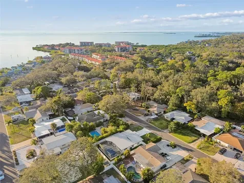 224 Timberlane Drive Palm Harbor FL 34683