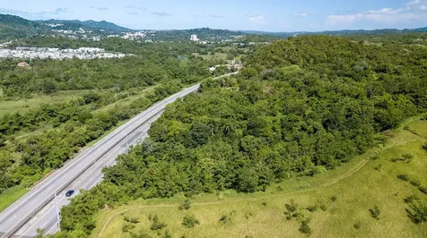 Pr 2 Km 176.9 Guama San German PR 00683