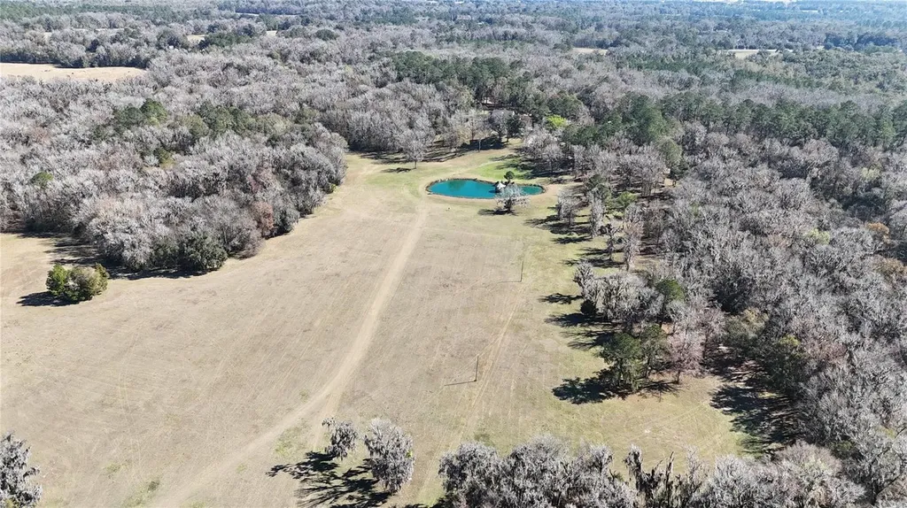 15551 NW Highway 225 Reddick FL 32686