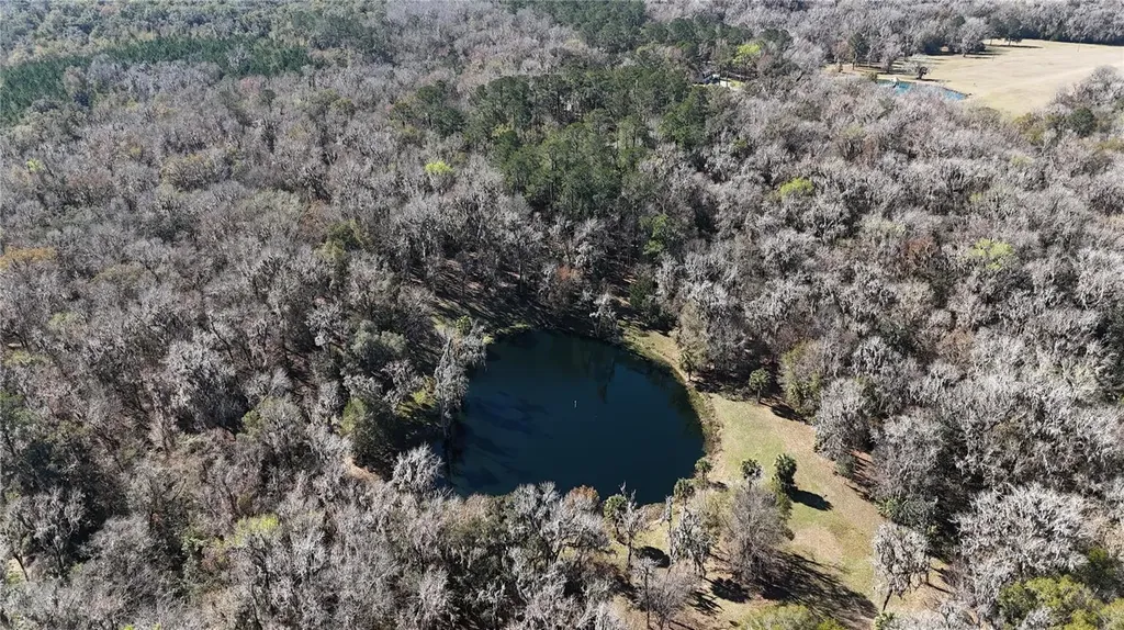 15551 NW Highway 225 Reddick FL 32686