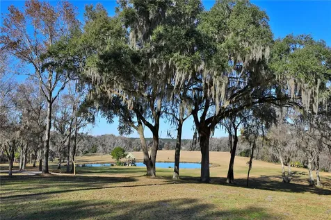 15551 NW Highway 225 Reddick FL 32686