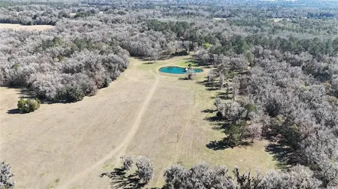 15551 NW Highway 225 Reddick FL 32686