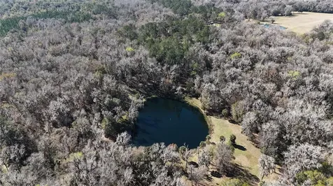 15551 NW Highway 225 Reddick FL 32686