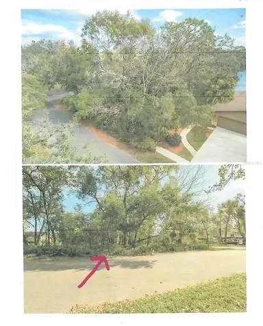 421 Cardinal Oaks Court Lake Mary FL 32746