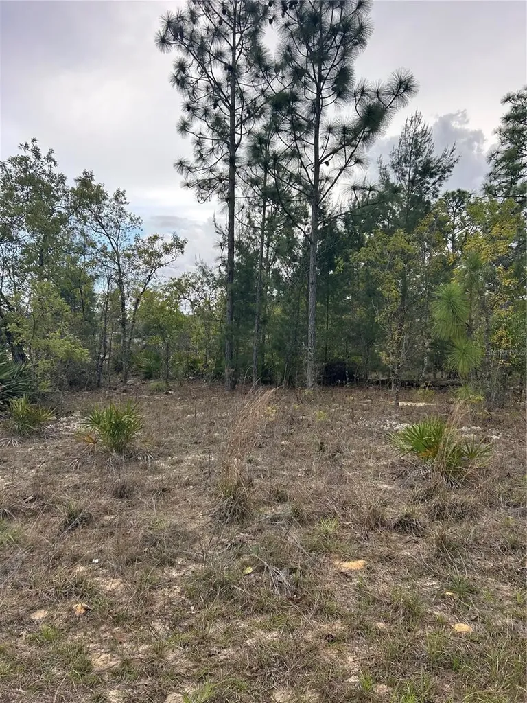 3528 W Nieman Drive Dunnellon FL 34433