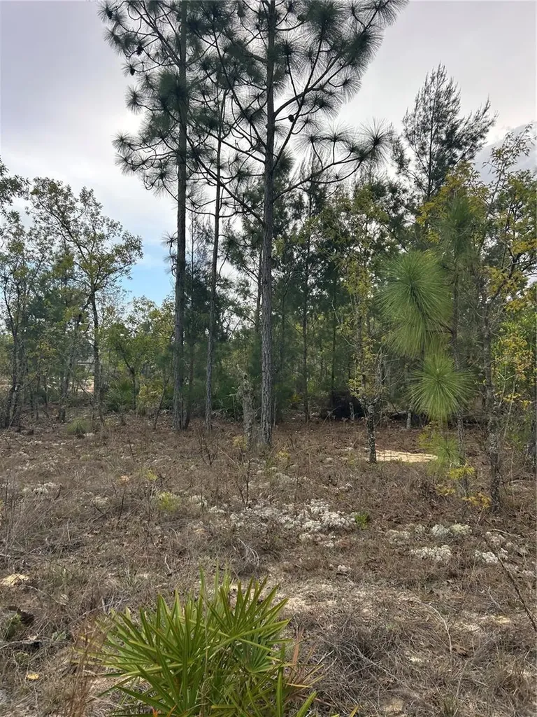 3528 W Nieman Drive Dunnellon FL 34433