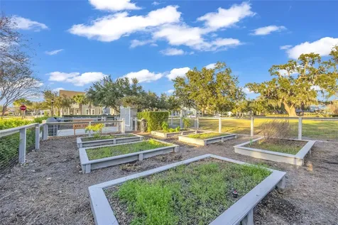 906 Allendale Lane Winter Garden FL 34787