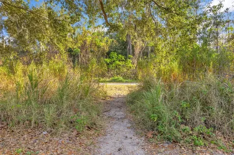 906 Allendale Lane Winter Garden FL 34787