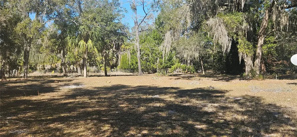 11159 N Clamdigger Terrace Inglis FL 34449
