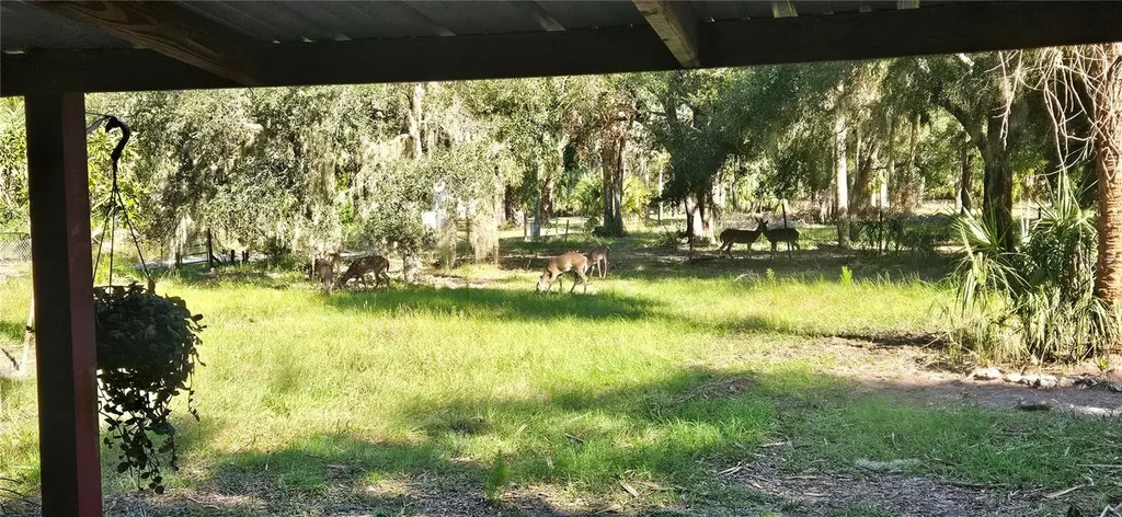 11159 N Clamdigger Terrace Inglis FL 34449