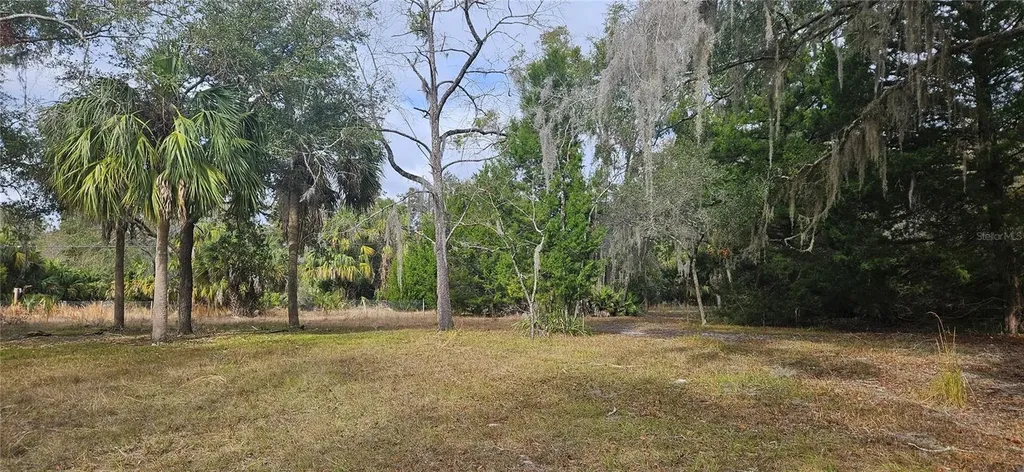 11159 N Clamdigger Terrace Inglis FL 34449