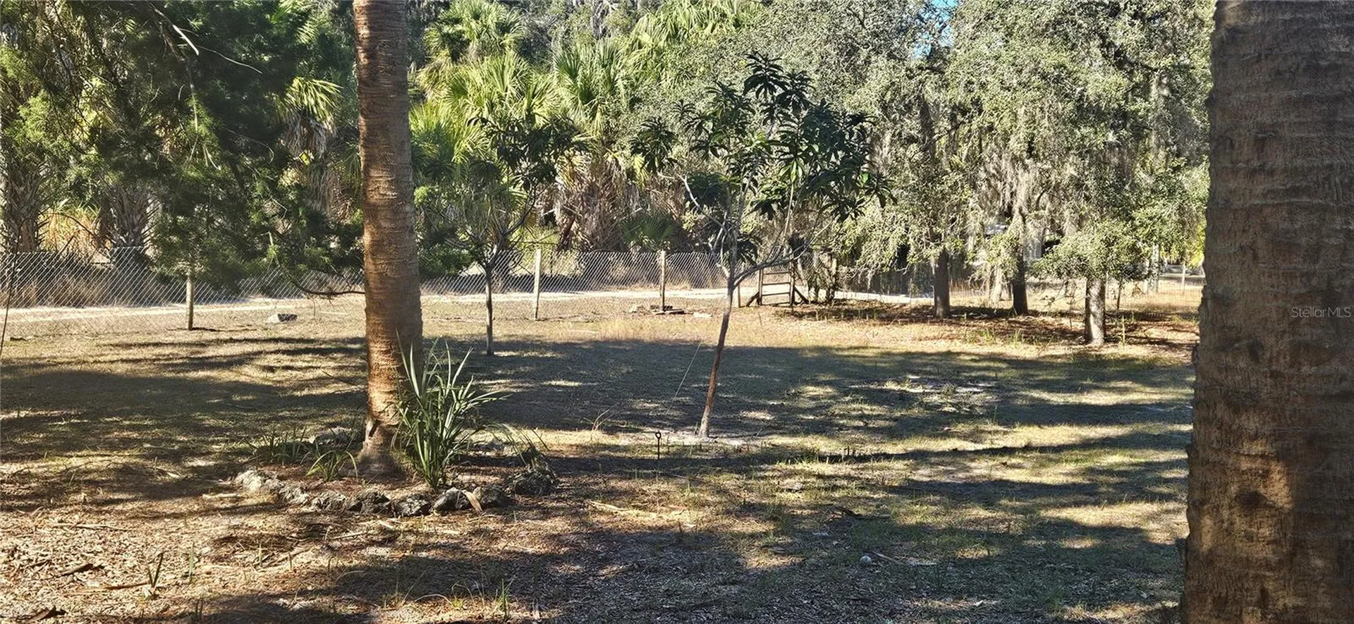 11159 N Clamdigger Terrace Inglis FL 34449