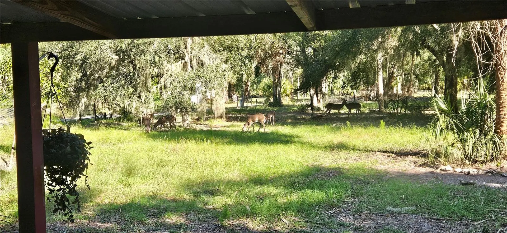 11159 N Clamdigger Terrace Inglis FL 34449