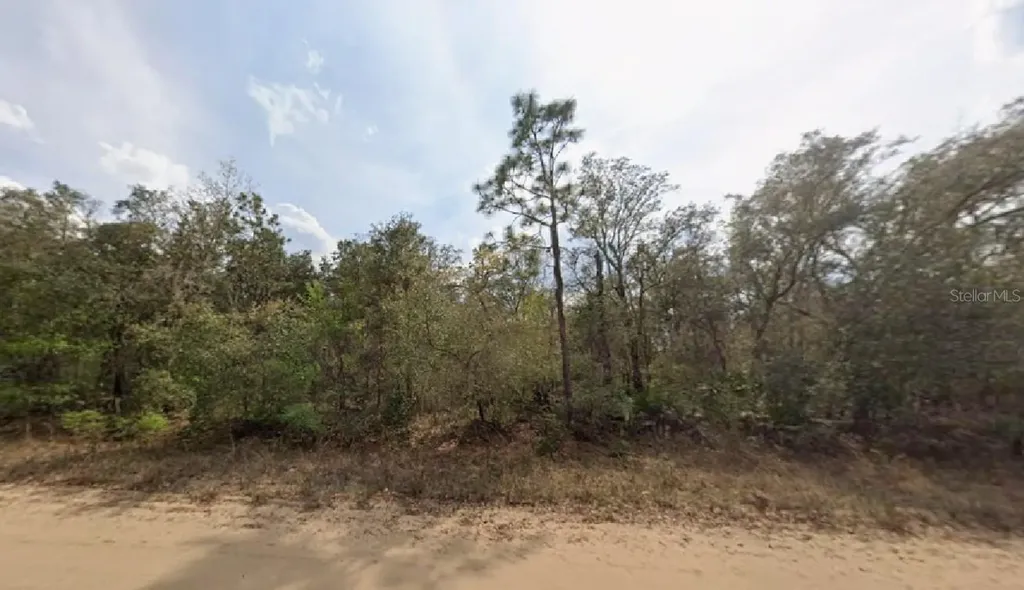 Osborne Street Interlachen FL 32148