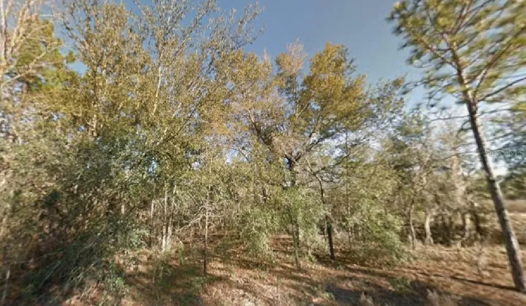 NE 154th Avenue Williston FL 32696