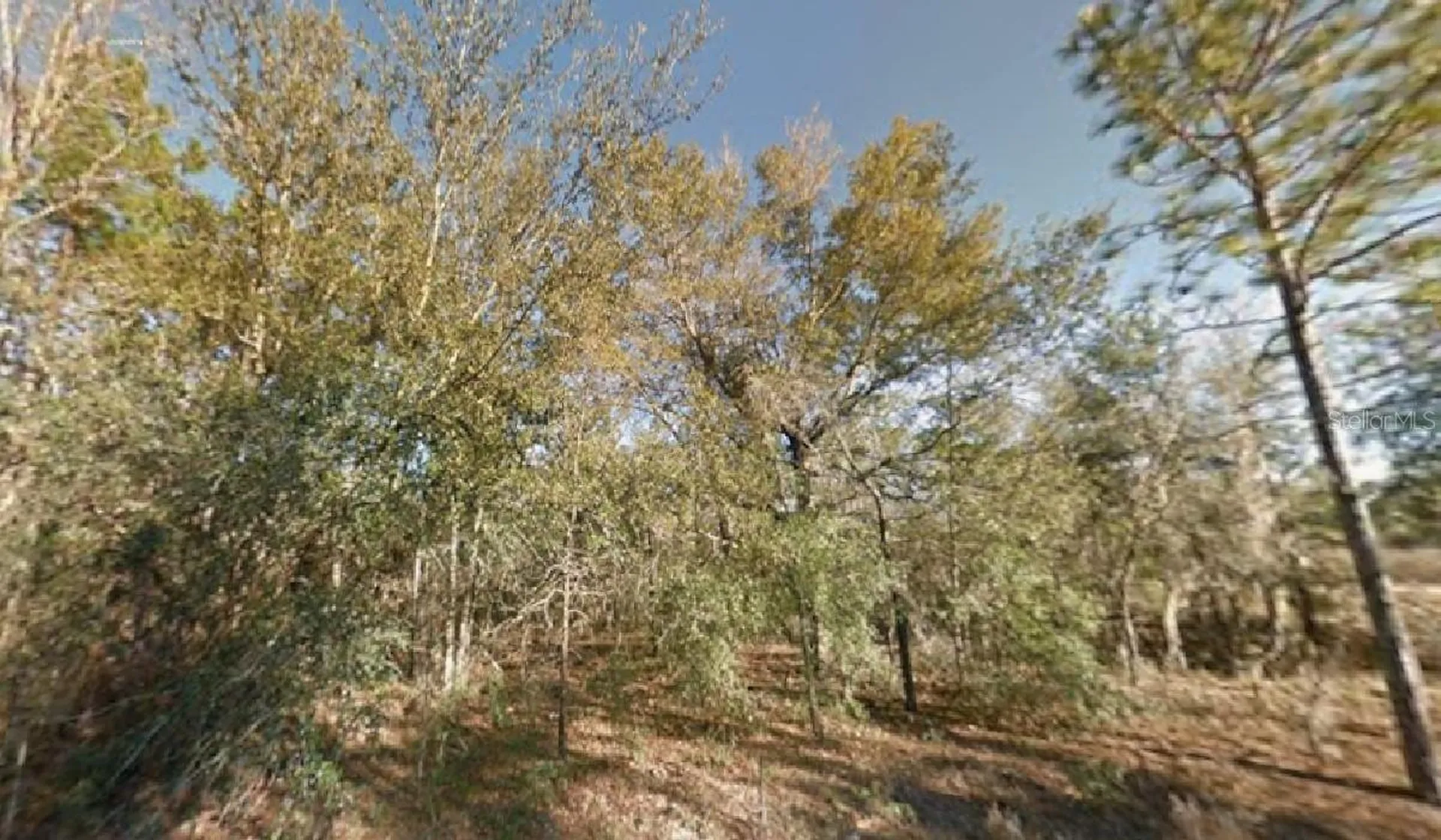 NE 154th Avenue Williston FL 32696