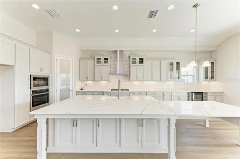 35576 Big Hawk Drive Zephyrhills FL 33541