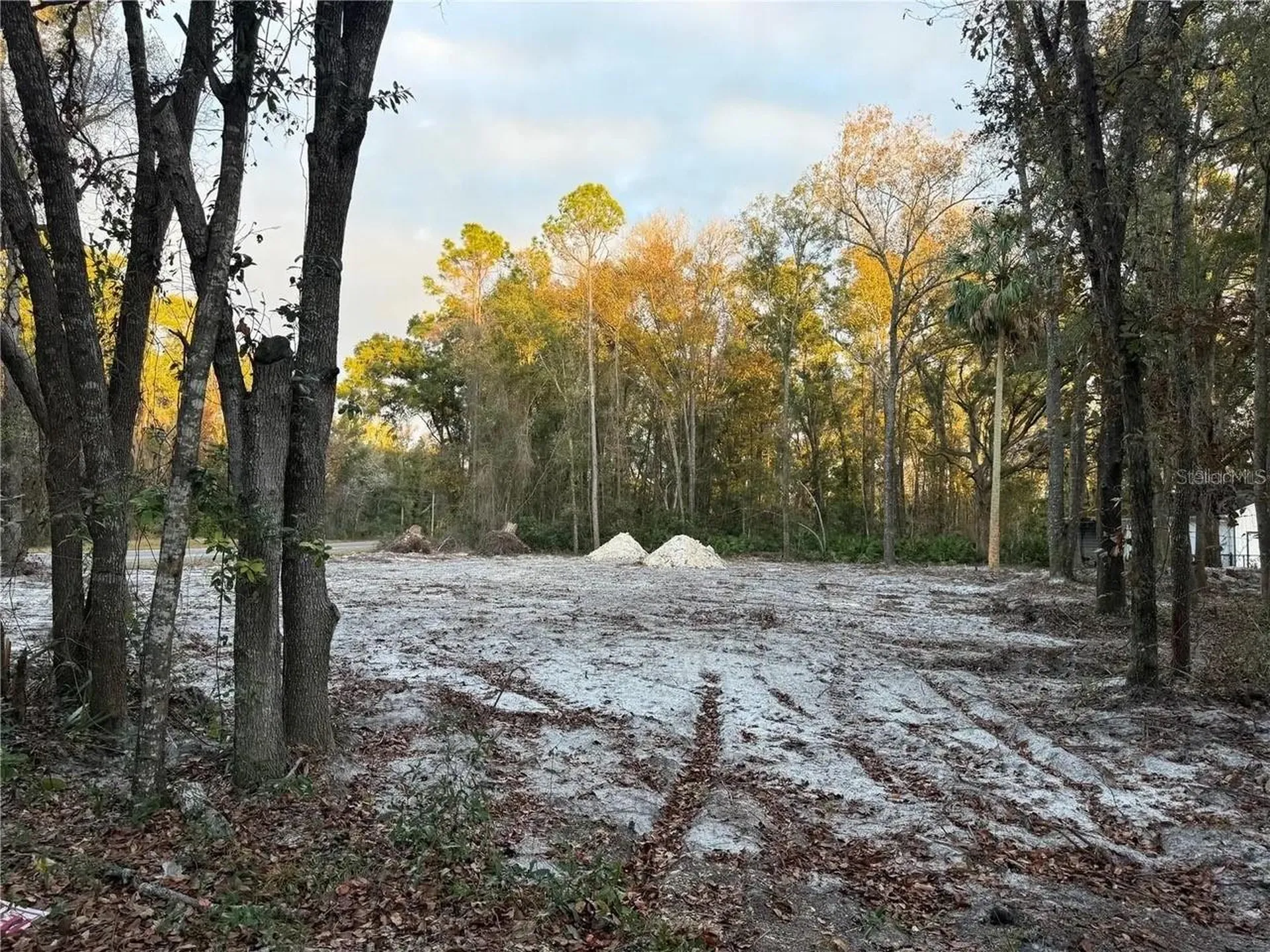 Tbd NW 110th Avenue Chiefland FL 32626