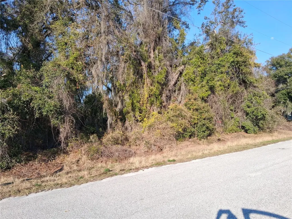 Mulberry Street Groveland FL 34736