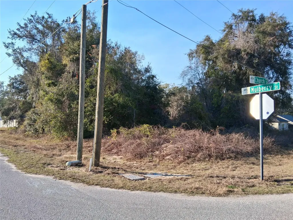 Mulberry Street Groveland FL 34736