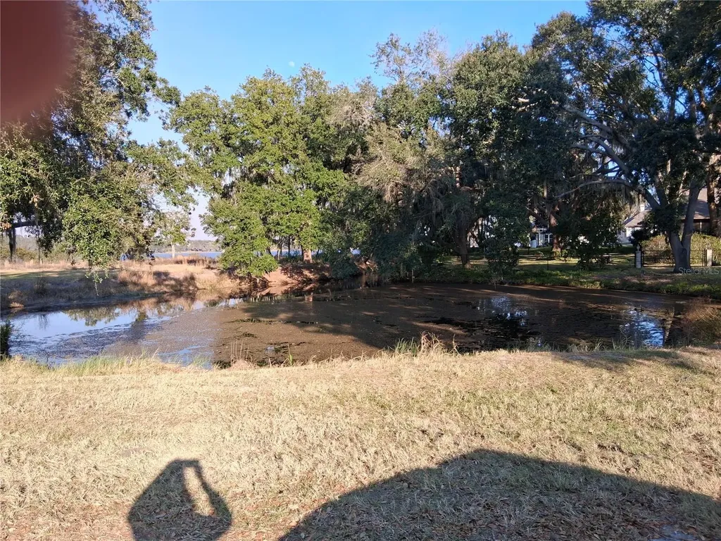 Mulberry Street Groveland FL 34736
