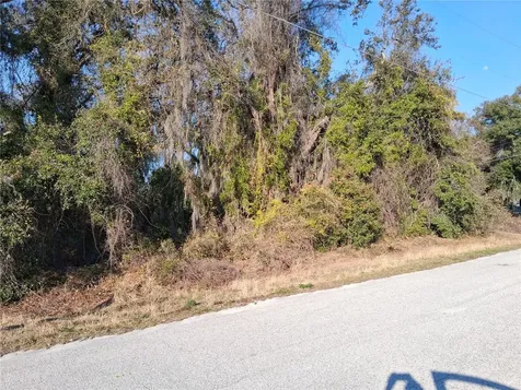 Mulberry Street Groveland FL 34736
