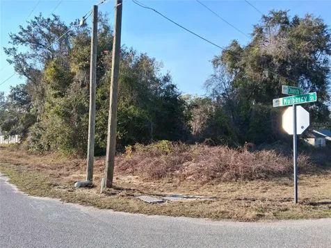 Mulberry Street Groveland FL 34736