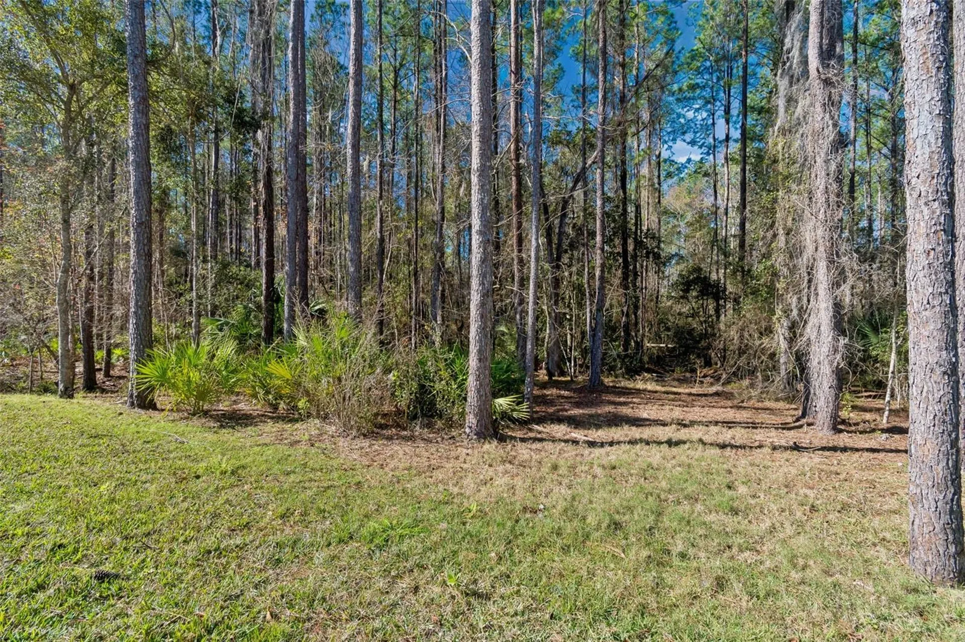 4905 Majestic Hills Loop Brooksville FL 34601