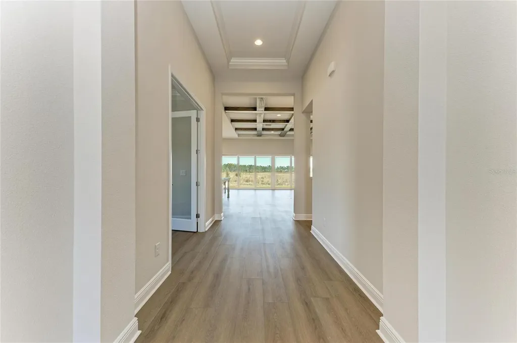 2058 Arching Branch Drive Zephyrhills FL 33541