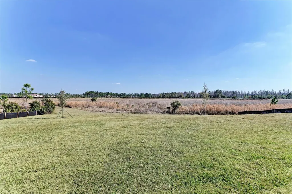 2058 Arching Branch Drive Zephyrhills FL 33541
