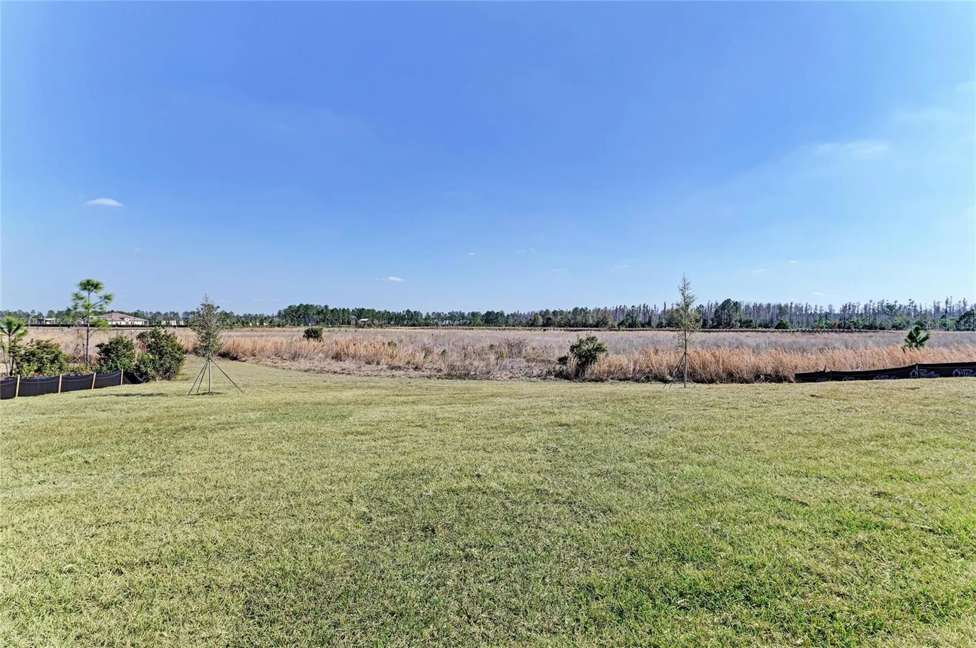 2058 Arching Branch Drive Zephyrhills FL 33541