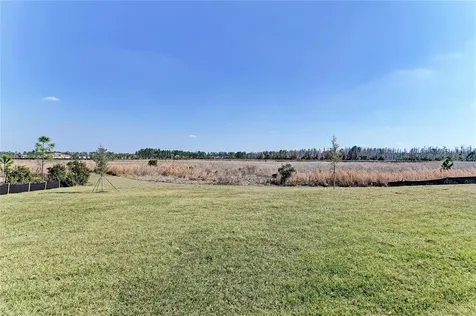 2058 Arching Branch Drive Zephyrhills FL 33541