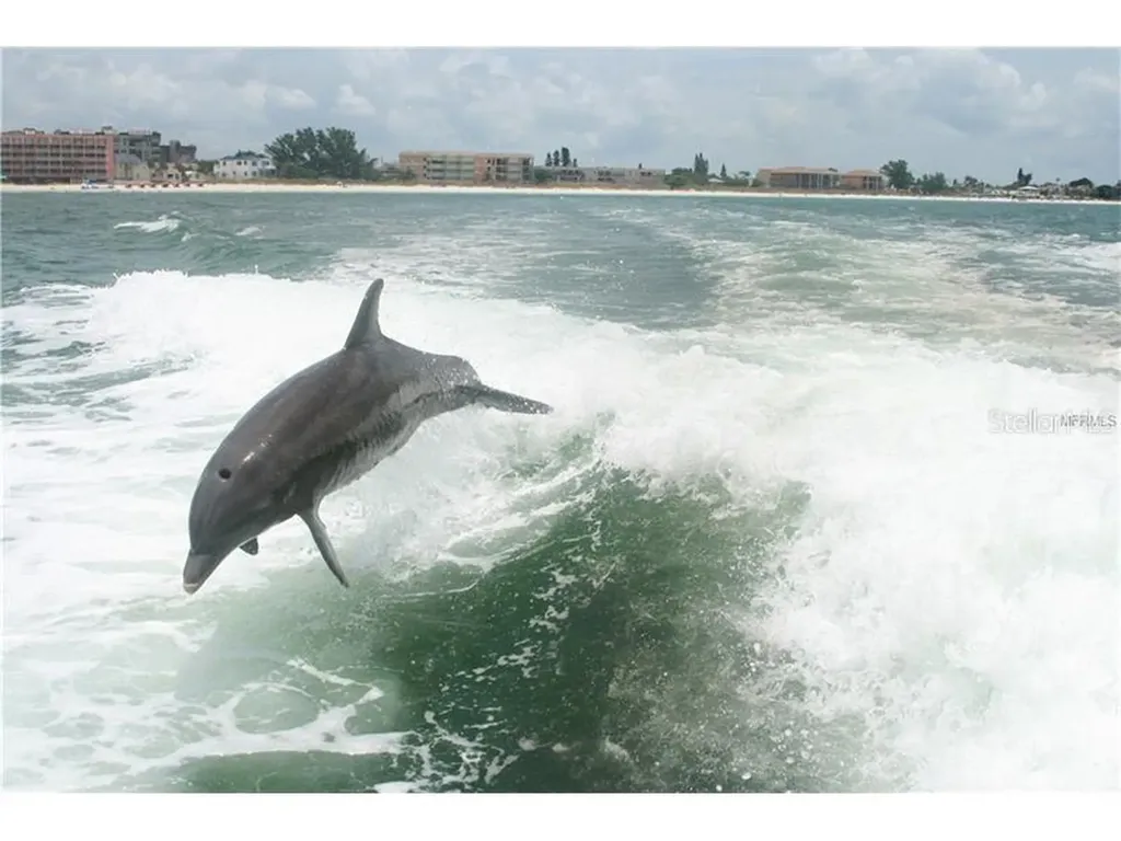 650 Island Way Clearwater Beach FL 33767
