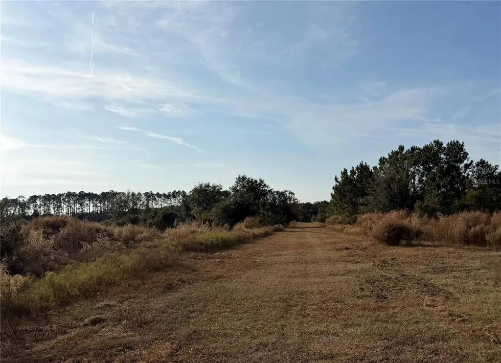 6966 E Turner Camp Road Inverness FL 34453