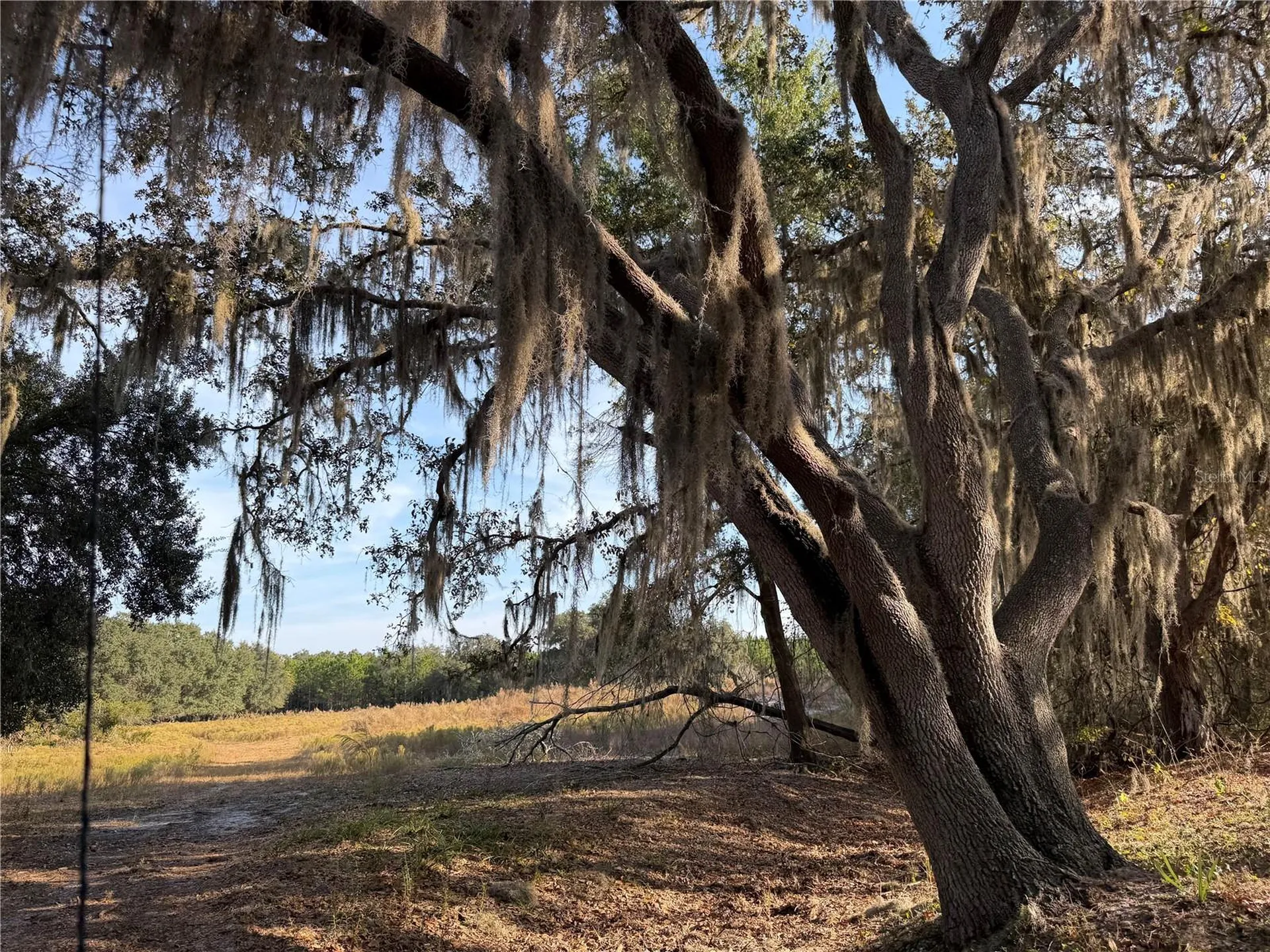 6966 E Turner Camp Road Inverness FL 34453