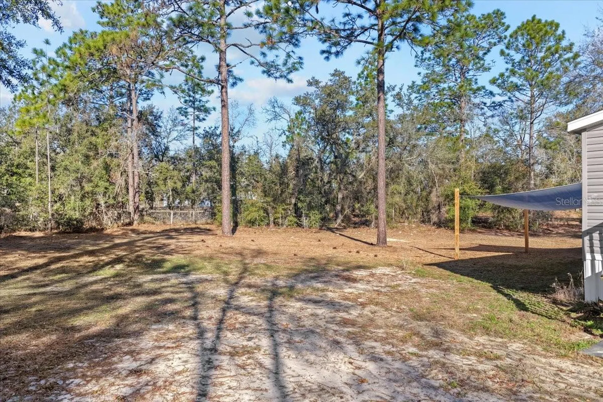 1910 NE 155th Court Williston FL 32696