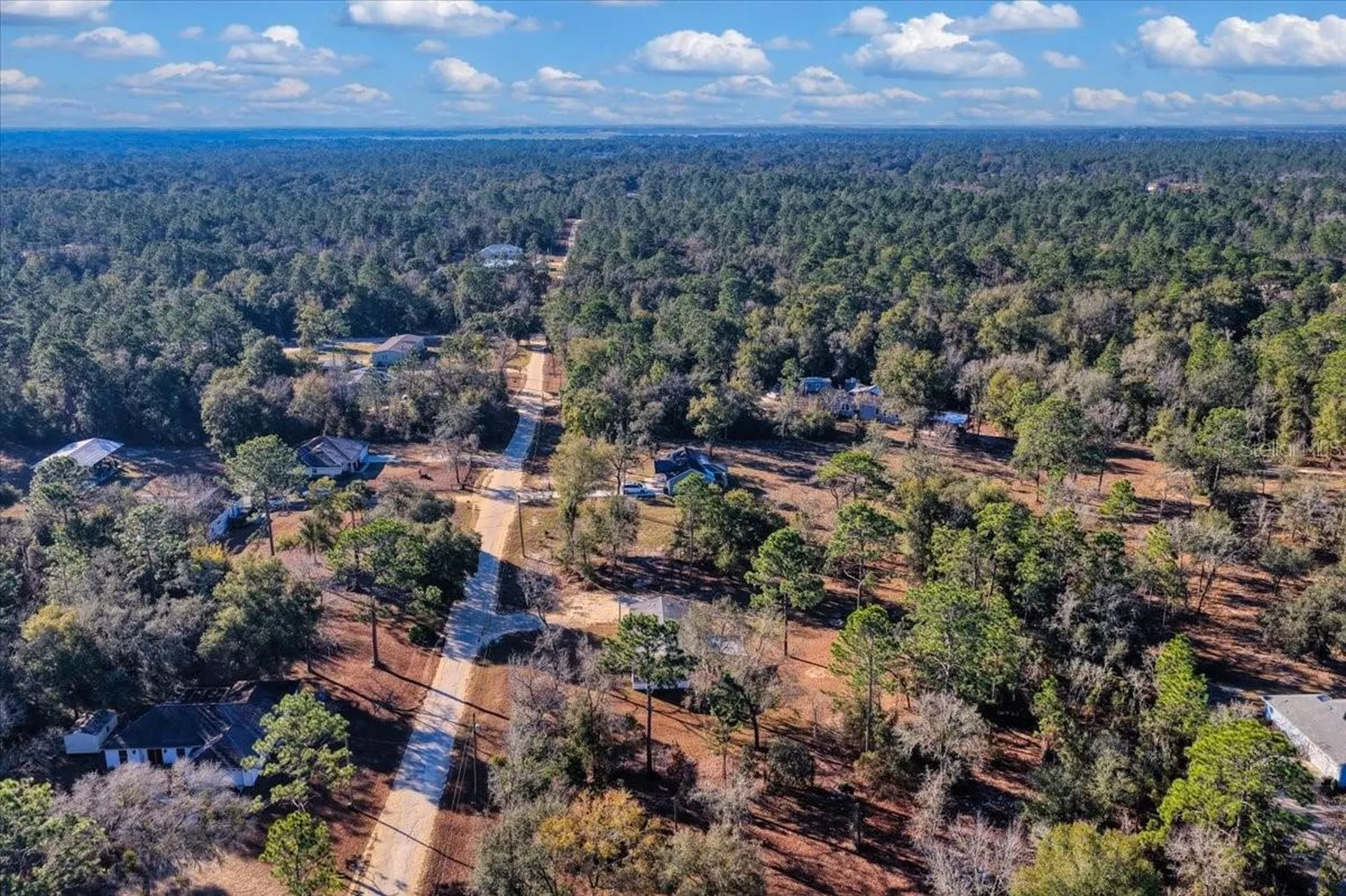 1910 NE 155th Court Williston FL 32696